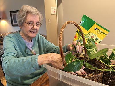 resident potting up a plant